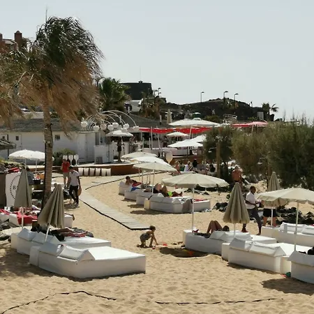 Palmmar Paraiso * Playa de las Americas (Tenerife)